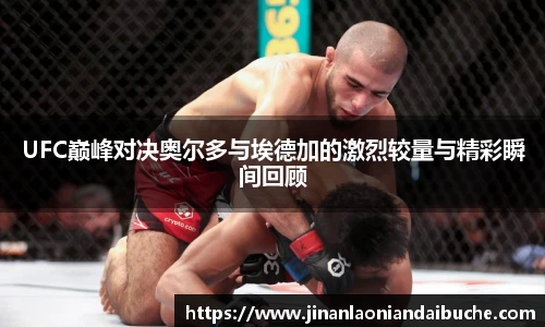 zoty中欧官网入口